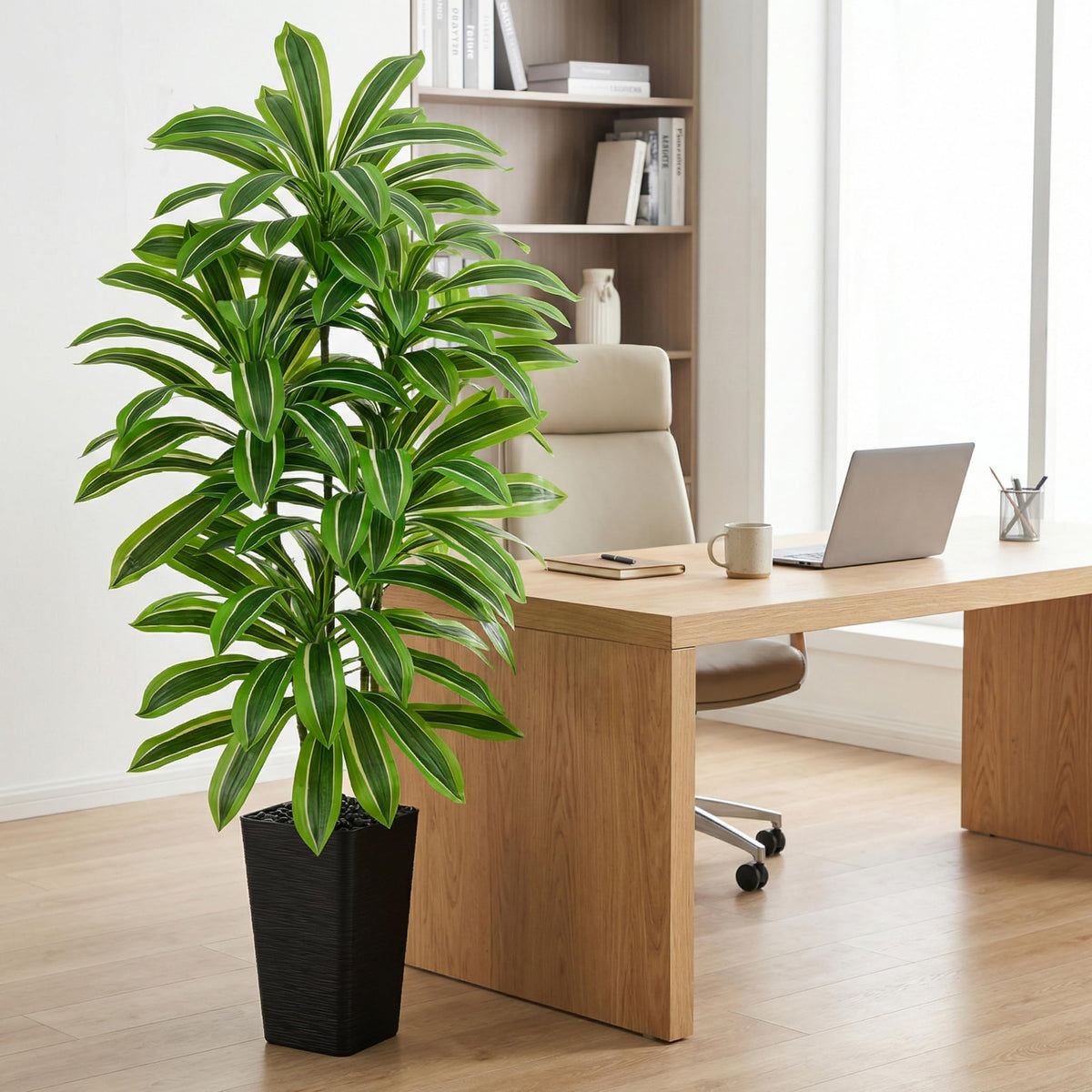 Artificial Dracaena Tree (Light Green – Black Pot / 6FT)