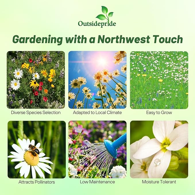 Outsidepride Northwest Wild Flower Seed Mix - 1/4 lb Premium Blend of Annual & Perennial Wildflower Seeds for Northwestern States - Ideal for Attracting Pollinators, Perfect for Garden Displays