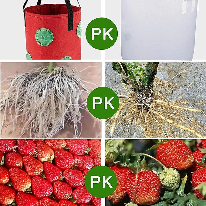 Upside Down Tomato Planter-3 Gallon Hanging Strawberry Planter Durable Aeration Fabric Grow Bags for Vegetables (Set of 3- Red，Green and Black)