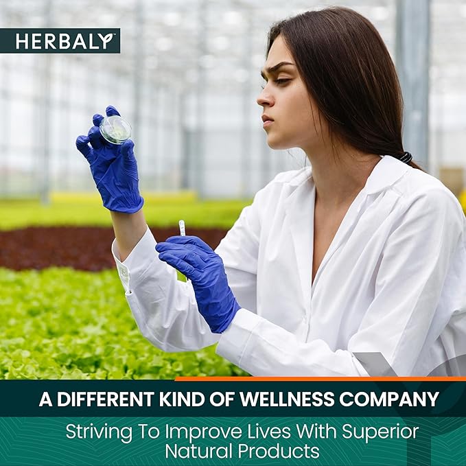Herbaly Wellness Collection Tea - 8 Active Herbs - Improve General Health, Strengthen Immunity - Natural, Organic, Non-GMO, Vegan, Sugar Free - 3 Pack, 84 Pyramid Tea Bags