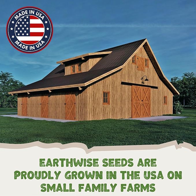 Earthwise Shady Native Wildflower Seed Mix – Shade Tolerant, Pollinator Friendly, Low Maintenance, Organic, Chemical-Free, Pet Safe, Moisture Adaptable, Non-GMO – Covers Up to 175 sq ft, 1/4 lb
