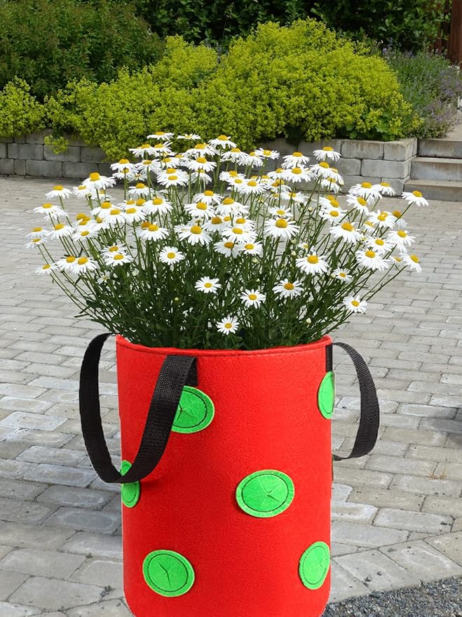 Miewslan 5 Gallons Hanging Planting Grow Bags, Garden Upside Down Planter Strawberry Tomato Potato Grow Bag Vegetable Planting Bag with Holes