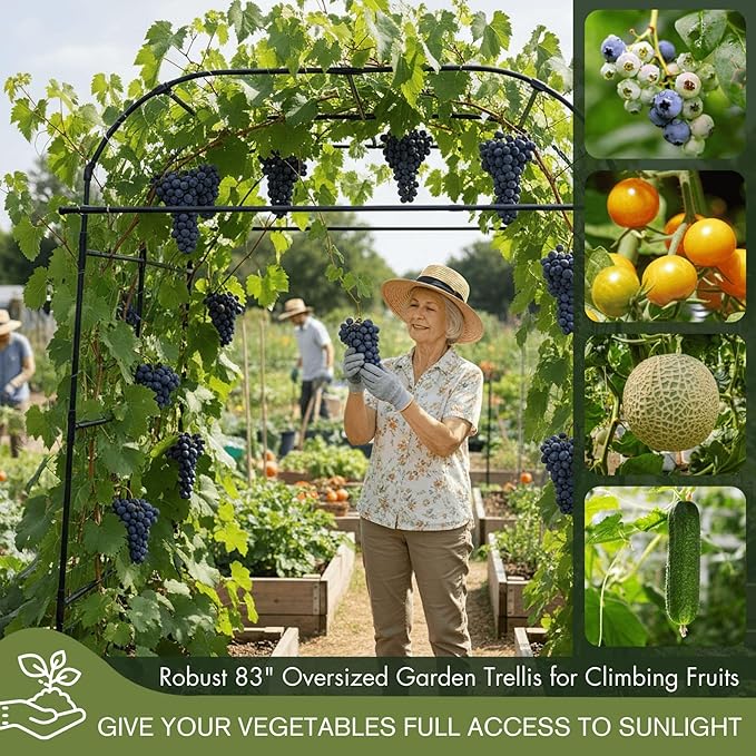 Wide Arch Trellis 7FT Extra Tall Garden Trellis Arch – Sturdy Plastic Coated Steel Metal Arch for Garden Climbing Plants & Vegetables, Weather-Resistant Outdoor Cucumber Trellis Arch