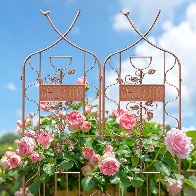 LZRS 2 Pack 59.5 * 18in Rustic Iron Arch Decoration Garden Trellis with Metal Coating – Perfect for Supporting Climbing Plants Outdoor, Roses, Vines, Flowers, and Vegetables, Brown