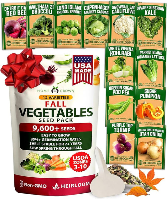 HOME GROWN 12 Fall Vegetable Seeds 9600+ Heirloom Seeds for Fall & Winter Planting – Beets, Broccoli, Cabbage, Kale, Onion, Pumpkin, Turnip, Lettuce, Peas & More for Home Garden