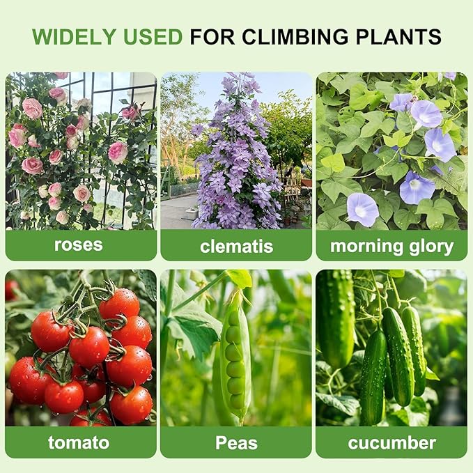 Lorenzo 2 Pcs 70 x 19.7 inch Metal Garden Trellis for Climbing Plants, Black Metal Coating Rustproof, Perfect for Supporting Climbing Plants Outdoor