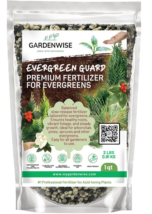 Evergreen Fertilizer – All-Purpose Granular Plant Food for Outdoor Trees and Shrubs, Azaleas, Magnolias, Pines & Arborvitae – Slow-Release Formula (4 quarts)
