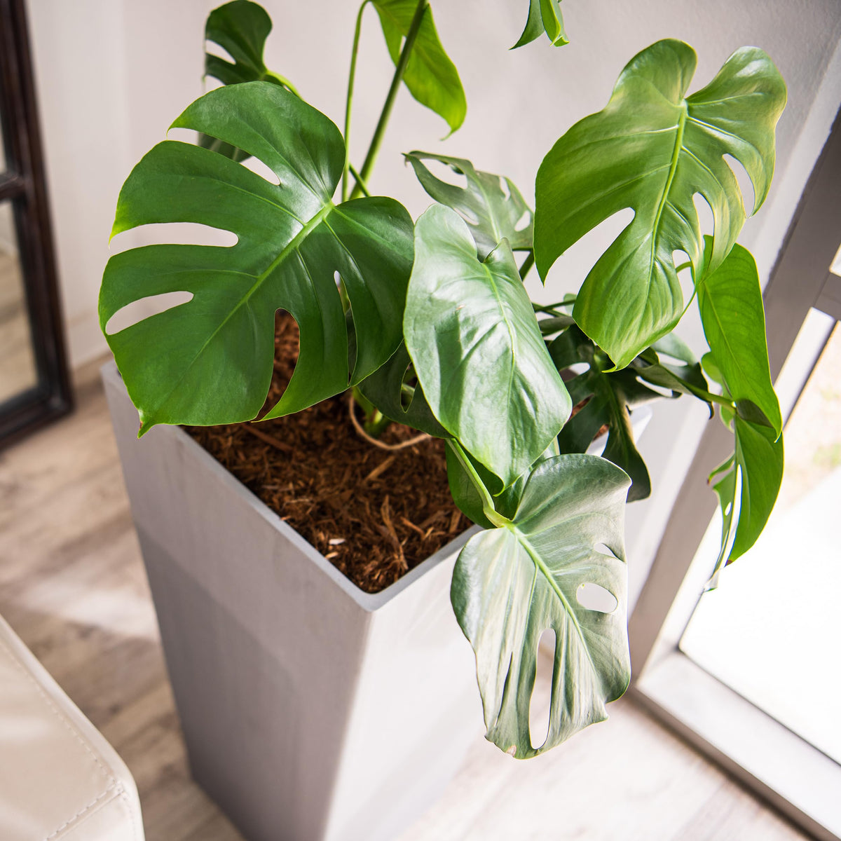 28 Inch Tall Square Tapered Planter (Gray / 28" H)
