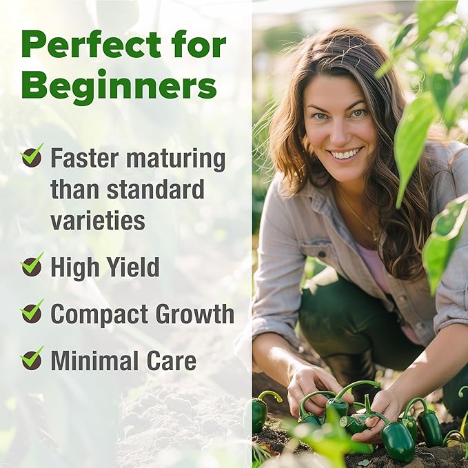 HOME GROWN Non GMO Jalapeno Pepper Seeds 129 Heirloom Seeds (Capsicum annuum) High Germination, Easy to Grow, Early Harvest Hot Peppers