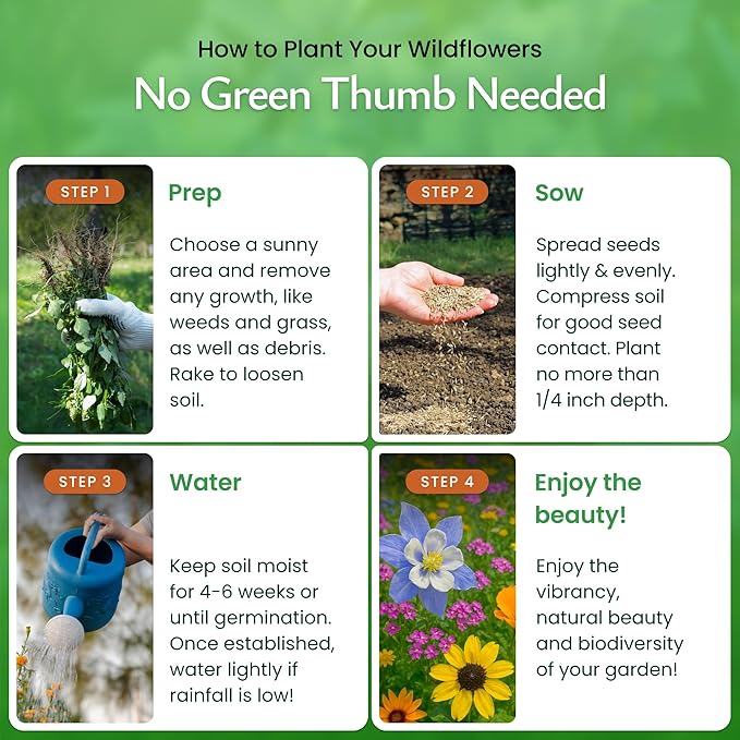 Created By Nature Colorado Wildflower Seed Mix, 14 Flower Varieties, 53,000+ Seeds