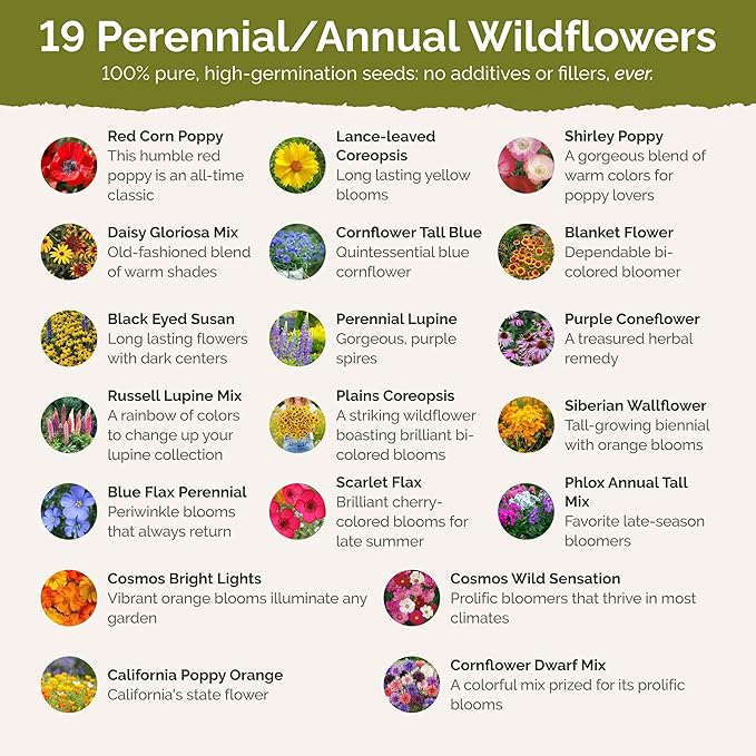 Eden Brothers New Jersey Wildflower Mixed Seeds for Planting, 1 oz, 30,000+ Seeds with Cornflower, Coneflower | Attracts Pollinators, Plant in Spring or Fall, Zones