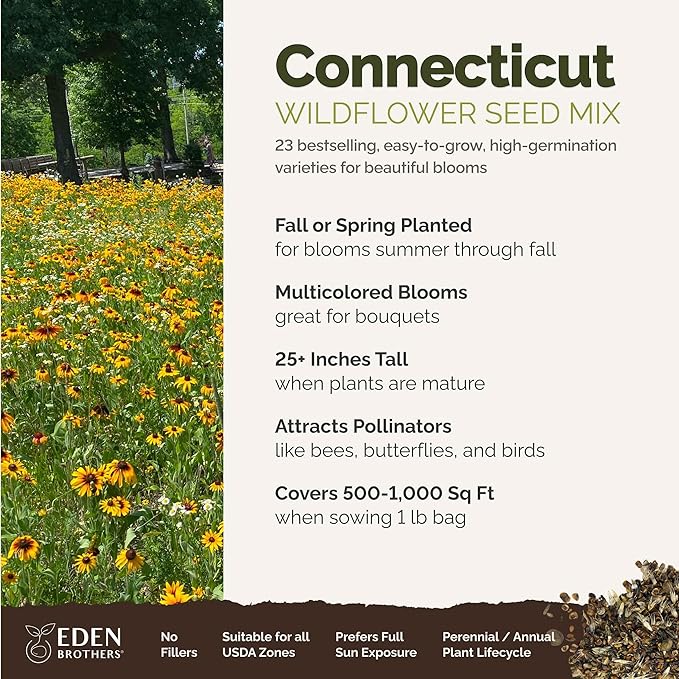 Eden Brothers Connecticut Wildflower Mixed Seeds for Planting, 1 lb, 480,000+ Seeds with Cornflower, Cosmos | Attracts Pollinators, Plant in Spring or Fall, Zones