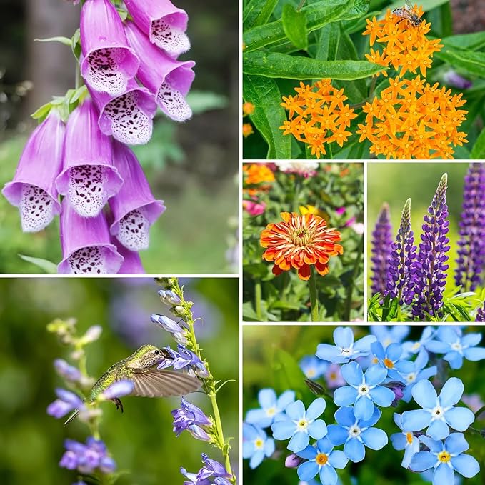 Wildflower Seeds Mix, 2 Oz, 50,000+ Seeds, 28 Varieties, Attracts Bees, Butterflies & Birds, Colorful Flowers