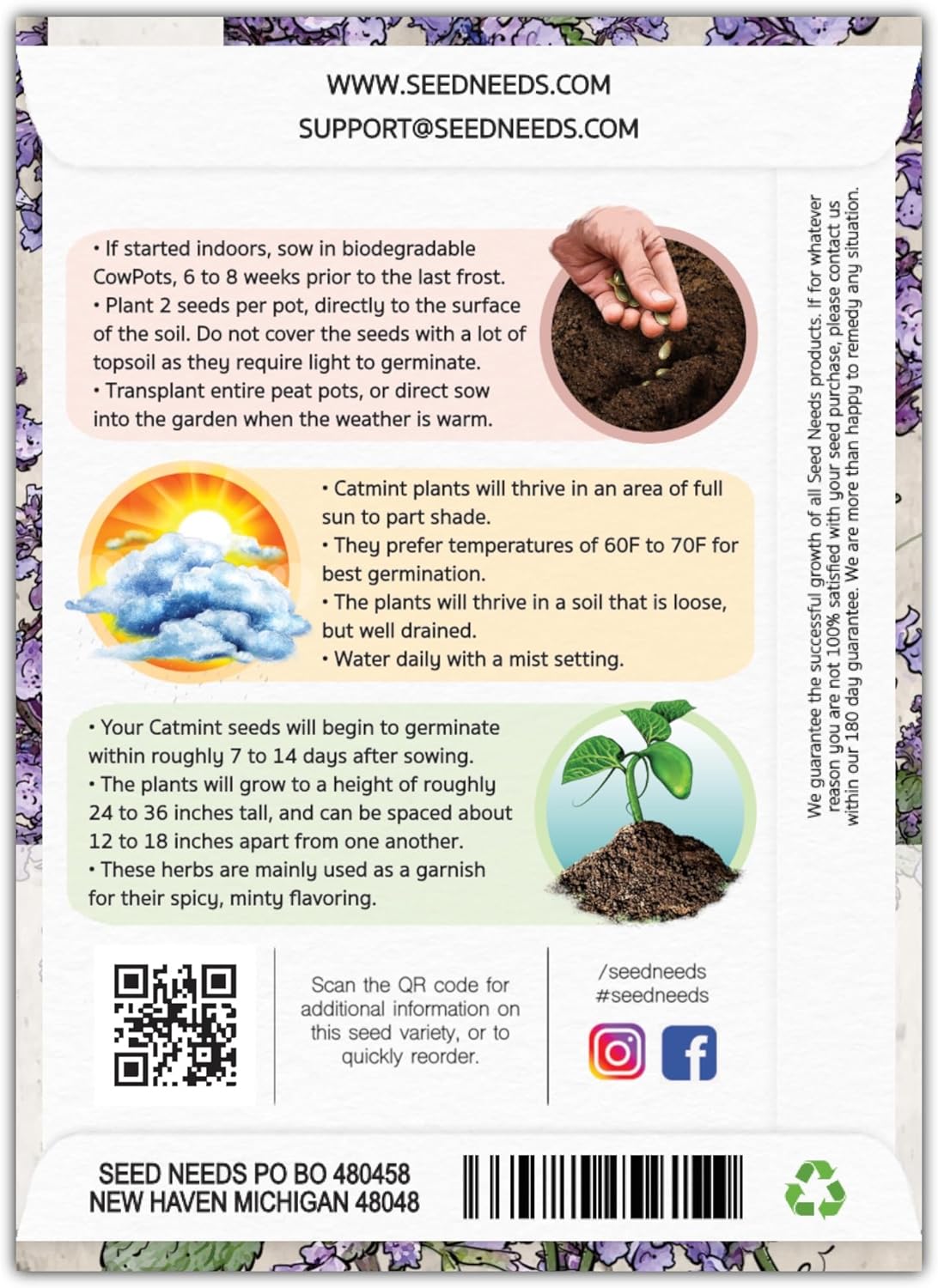 Seed Needs, Catmint Seeds for Cats - 600 Heirloom Seeds for Planting Nepeta mussinii - Perennial Flowering Medicinal Herb Non-GMO & Untreated (2 Packs)