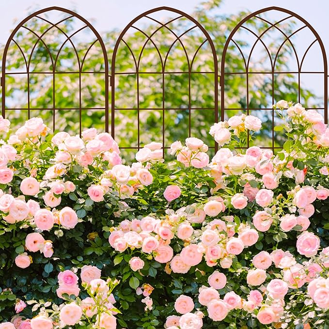 LZRS 2 Pack Rustic Iron Arch Decoration Garden Trellis with Black Metal Coating – Perfect for Supporting Climbing Plants Outdoor, Roses, Vines, Flowers, and Vegetables,Brown