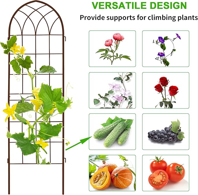 LZRS 2 Pack Rustic Iron Arch Decoration Garden Trellis with Black Metal Coating – Perfect for Supporting Climbing Plants Outdoor, Roses, Vines, Flowers, and Vegetables,Brown