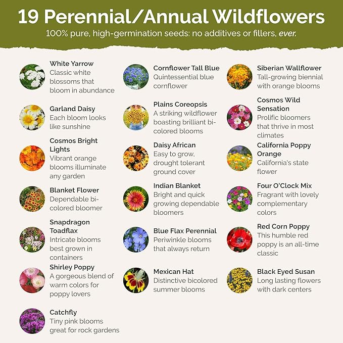 Eden Brothers Nevada Wildflower Mixed Seeds for Planting, 1 lb, 480,000+ Seeds with Yarrow, Cosmos | Attracts Pollinators, Plant in Spring or Fall, Zones