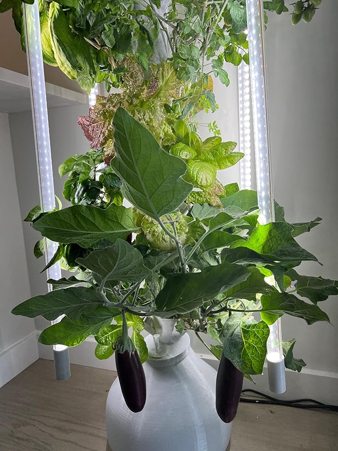 The Hydro Tower® Hydroponic Tower with Integrated Lighting and Watering Systems | Simple Setup | Easy Upkeep | Fast Growth (36 Plants)