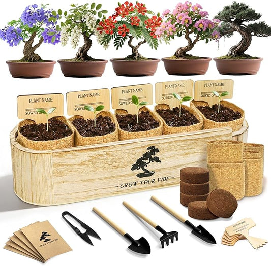 LUOJIBIE Bonsai Tree Kit for Beginners - Unique Gifts for Women, Crafts for Adults, for Women & Men,Complete Indoor Plant Kit,Easy House Plant