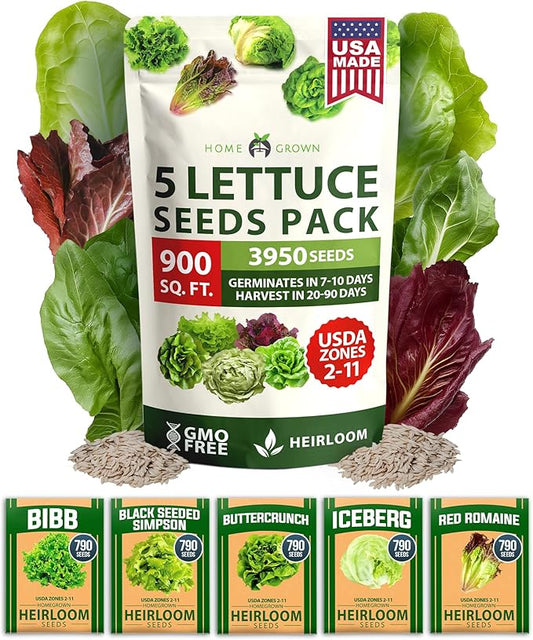 HOME GROWN 5 Lettuce Seed Pack 3950 Heirloom Vegetable Seeds for Indoor, Outdoor, or Hydroponic Growing Black Seeded Simpson, Red Romaine, Bibb, Buttercrunch, Iceberg Varieties (Lactuca Sativa)