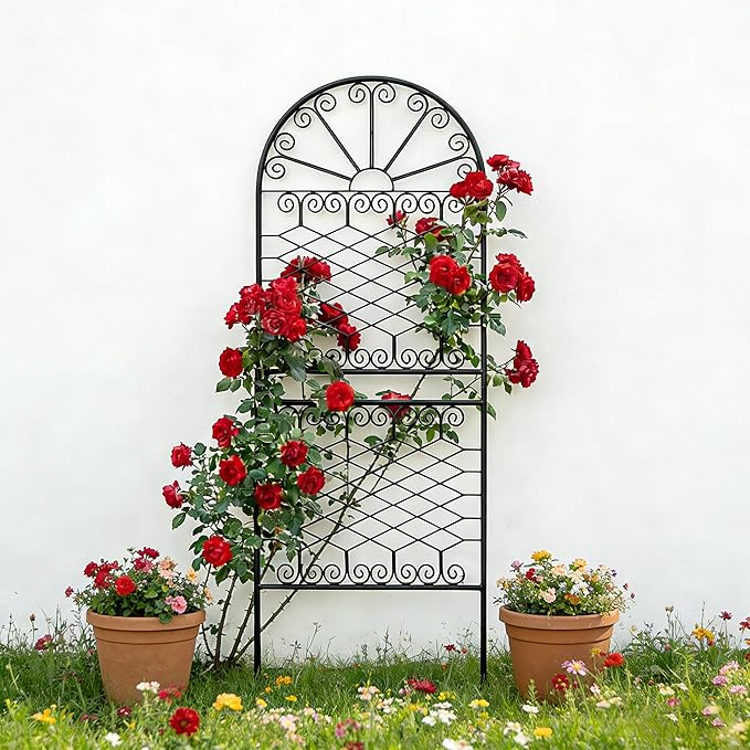 SCENDOR 59" H x 22" W Decorative Metal Garden Trellis for Climbing Plants, Rustproof Iron Arched Trellis with Scrollwork for Roses, Clematis, Ivy, Ideal for Patio, Lawn, and Backyard 1 Pack