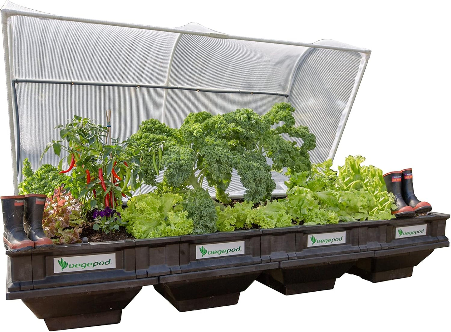 Vegepod - Raised Garden Bed - Self Watering Container Garden Kit with Protective Cover, Easily Elevated to Waist Height, 10 Years Warranty (Large)