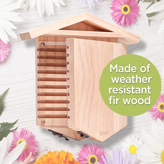 Rivajam Native Bee Observatory | Mason Bee Houses for Pollinating Bees | Pollinator Bee Houses for The Garden Lover | Leaf cutter Bee Home | Unique Gardening Gifts