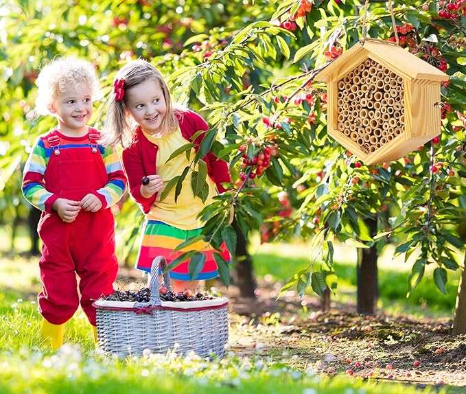 Mason Bee House Native Bee Hive Hexagon Bee House Handmade Wooden Mason Bee Box Habitat Home Hotel with Tubes -Attracts Peaceful Bee Pollinators to Enhance Your Garden's Productivity