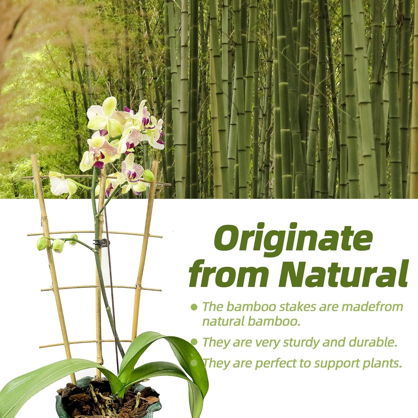 10 Pack 16" Bamboo Trellis for Climbing Plants-Natural Garden Ladder Fan -Shaped Plants Support Trellis for Potted Plant Decor in Door