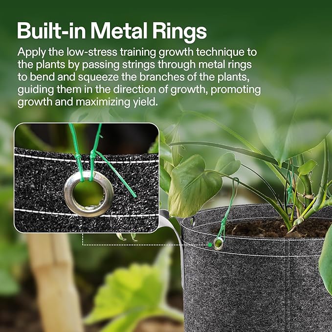VIVOSUN 10-Pack 3 Gallon Grow Bags, 500G Thick Nonwoven Fabric Pots with Strap Handles, Multi-Purpose Rings, for Low Stress Plant Training Fruits, Vegetables, and Flowers