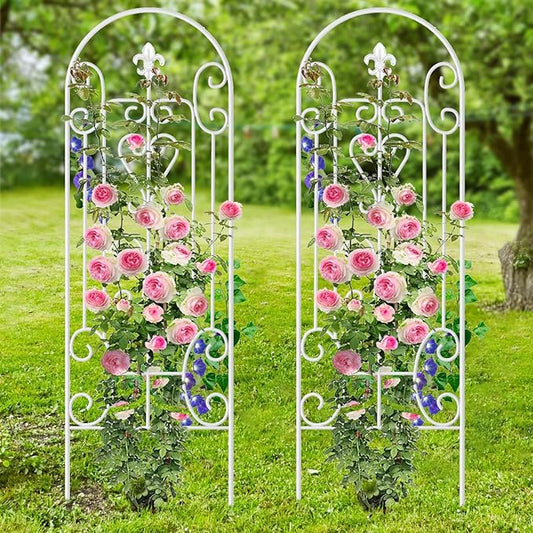 AMAGABELI Garden & Home 2 Pack 60" x 18" Garden Trellis for Climbing Plants Outdoor Plants Roses Trellis Vegetables Vines Flowers Clematis Metal White Trellis