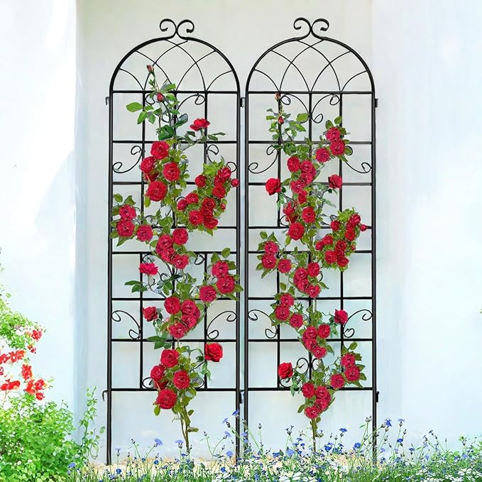 Lorenzo 2 Pcs 70 x 19.7 inch Metal Garden Trellis for Climbing Plants, Black Metal Coating Rustproof, Perfect for Supporting Climbing Plants Outdoor