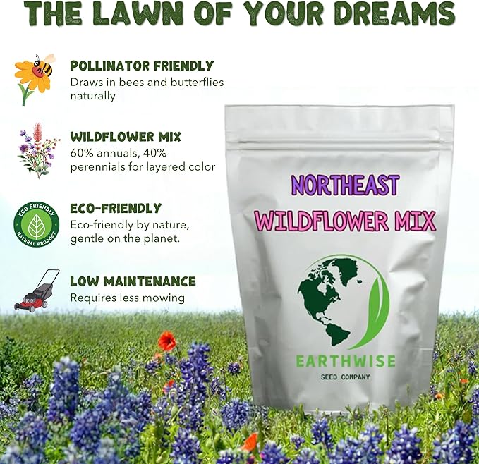 Earthwise Northeast Native and Naturalized Wildflower Seed Mix – Season-Long Color, Pollinator Friendly, Organic, Low Maintenance, Chemical-Free, Pet Safe – Covers Up to 1,000 sq ft, 1/2 lb