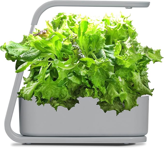 AeroGarden Sprout with Gourmet Herb Seed Pod Kit - Indoor Garden with LED Grow Light, Cool Gray