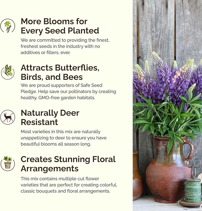 Eden Brothers Northeast All Perennial Wildflower Mixed Seeds for Planting, 1 lb, 480,000+ Seeds with Milkweed, NE Aster | Attracts Pollinators, Plant in Spring or Fall, Zones 3, 4, 5, 6, 7, 8, 9, 10