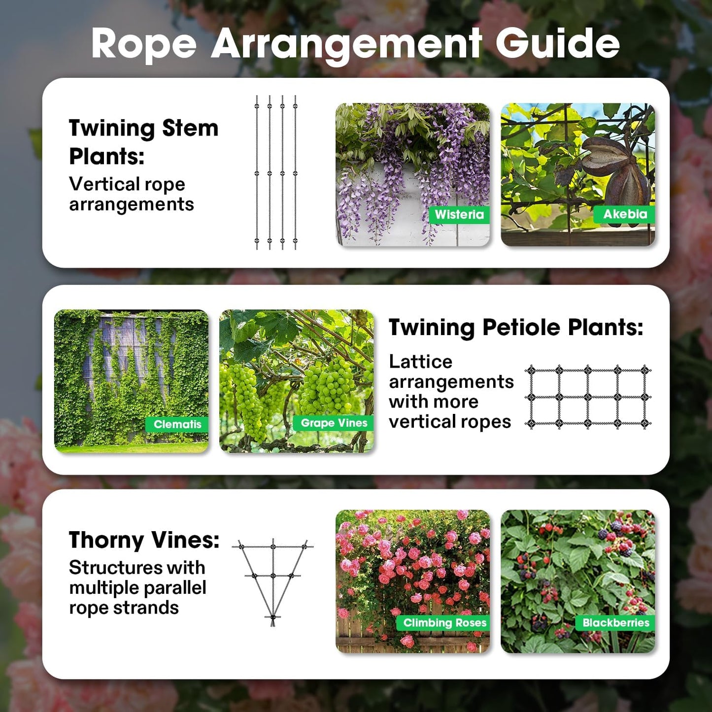 VIVOSUN Wire Trellis Kit with 20 Adjustable Set Holders and 98.4ft Wire Rope, 316 Stainless Steel Espalier Cable Trellis Kit with Adjustable Spacing for Climbing Plants, Vines and Green Wall