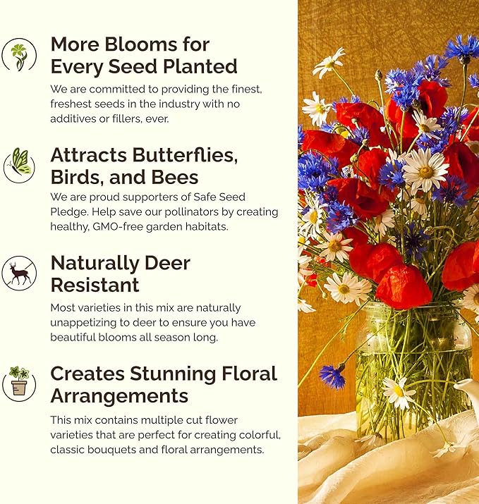 Eden Brothers Connecticut Wildflower Mixed Seeds for Planting, 1 lb, 480,000+ Seeds with Cornflower, Cosmos | Attracts Pollinators, Plant in Spring or Fall, Zones