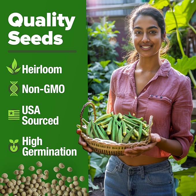 HOME GROWN Non GMO Clemson Spineless Okra Seeds 101+ Heirloom Vegetable Seeds for Planting Easy to Grow Outdoor Summer Garden High Germination Rate (Abelmoschus esculentus)