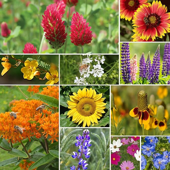 Wildflower Seeds Mix, 2 Oz, 50,000+ Seeds, 28 Varieties, Attracts Bees, Butterflies & Birds, Colorful Flowers