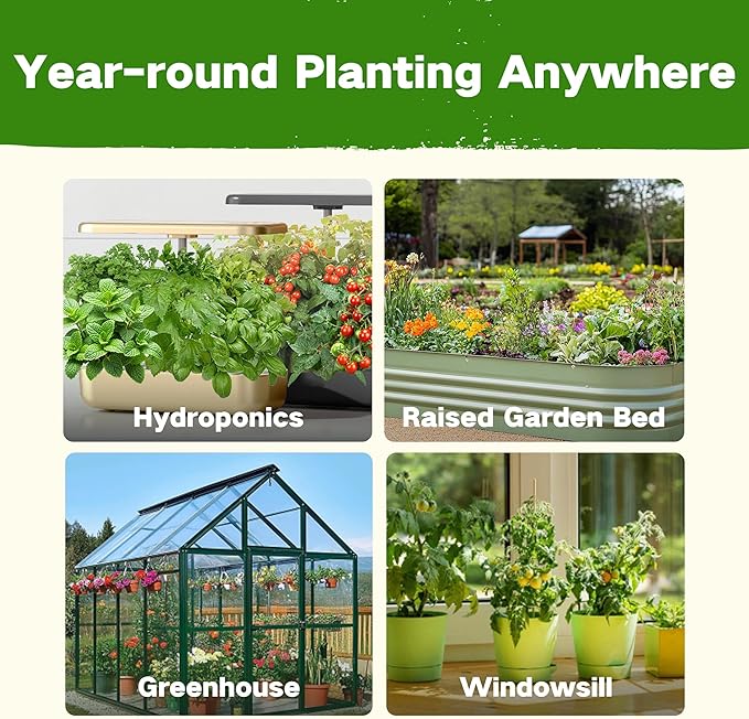 USDA Zone 8 Heirloom Seed Bank, 30,000+ Non-GMO 32 Varieties of Seeds for Planting Vegetables Herbs, Survival Seed Kit for Raised Garden Bed Greenhouse, Gardening Gifts for Mom Women Men