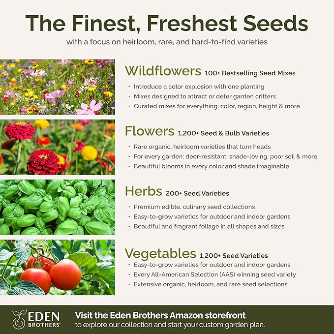 Eden Brothers Georgia Wildflower Mixed Seeds for Planting, 1 lb, 480,000+ Seeds with Cornflower, Cosmos, African Daisy | Attracts Pollinators, Plant in Spring or Fall, Zones 3, 4, 5, 6, 7, 8, 9, 10