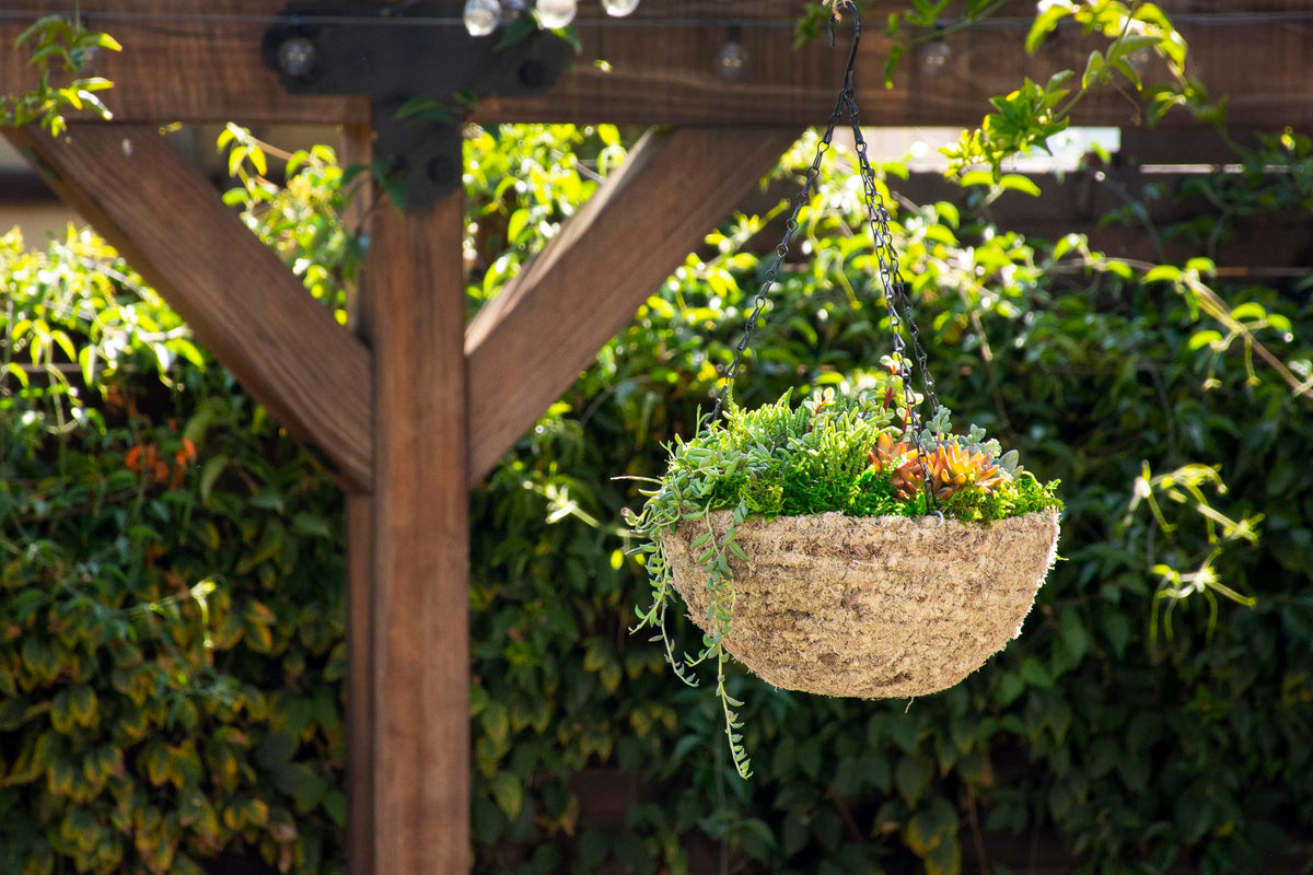 29241D MossWeave Hanging Basket (Blond / Medium 14.5” D)