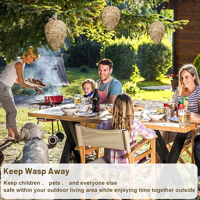 DECYOOL 6 Pack Wasp Nest Decoy Hanging Wasp for Wasps Hornets Yellow Jackets Outdoor Water-Repellent Material (Brown)