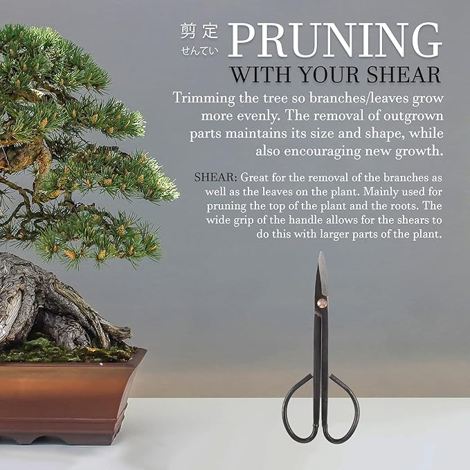 BambooMN Bonsai Basics Set - 8" Knob Cutter and 7.2" Trimming Shear - 10 Sets