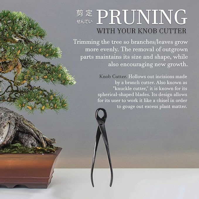 BambooMN Bonsai Basics Set - 8" Knob Cutter and 7.2" Trimming Shear - 1 Set