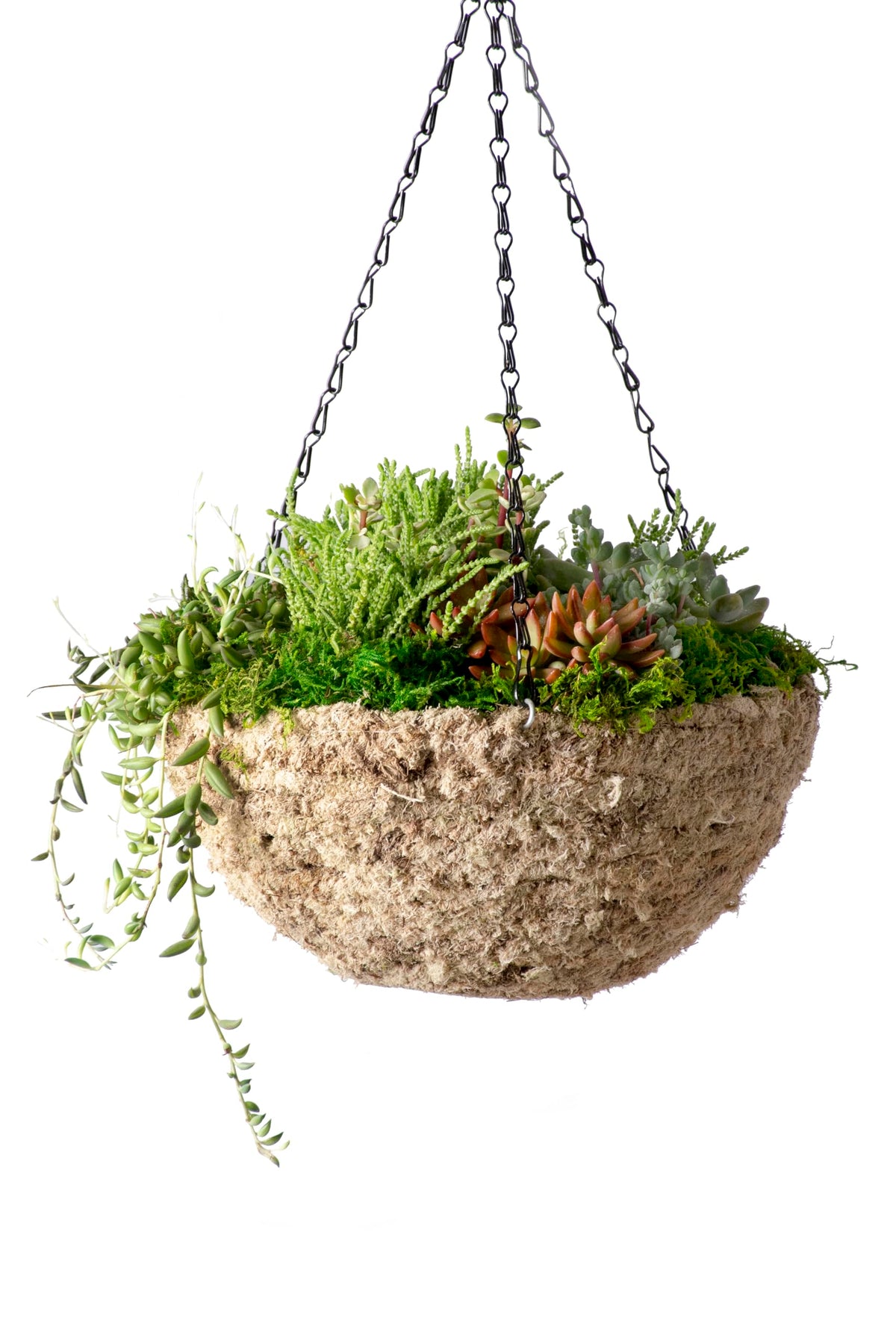 29241D MossWeave Hanging Basket (Blond / Medium 14.5” D)