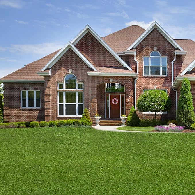 Artificial Grass Rug 7 FT x 79 FT Fake Faux Grass, Indoor Outdoor Patio Garden Lawn Landscape Synthetic Grass Mat, Realistic Turf, 4-Tone/Soft, with Drainage Holes & Rubber Backing