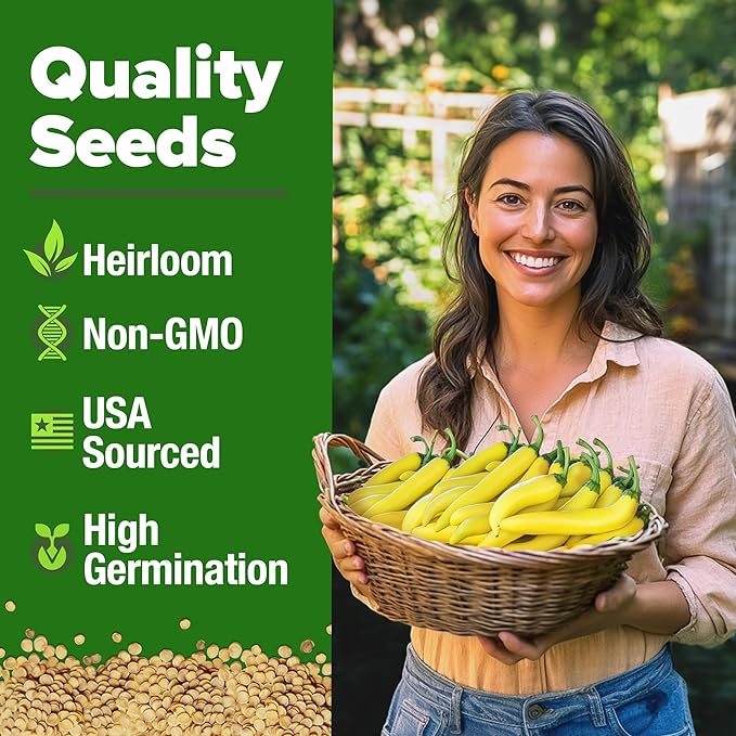 HOME GROWN Non GMO Banana Pepper Seeds Pack 94 Heirloom Vegetable Seeds High Germination Sweet Peppers for Planting Indoors or Outdoor Garden (Capsicum annuum) (1pack)