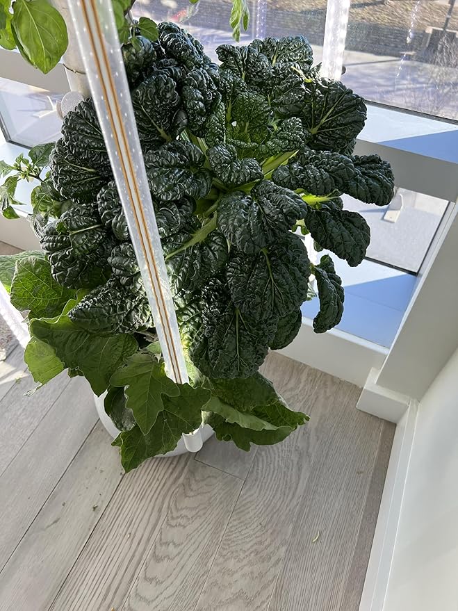 The Hydro Tower® Hydroponic Tower with Integrated Lighting and Watering Systems | Simple Setup | Easy Upkeep | Fast Growth (36 Plants)
