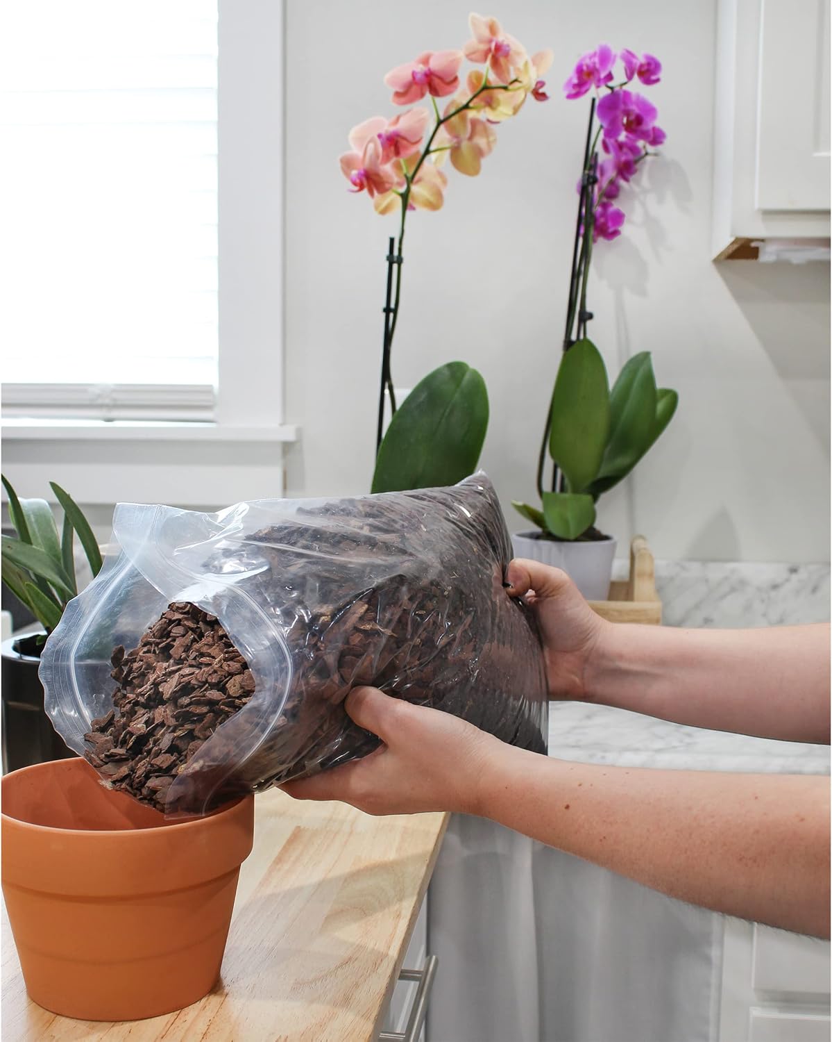 100% Organic Material All Natural Orchid Bark (8 Quarts), Long Lasting All Natural, High Flowering and Aeration for Orchid Plants, Vanda,Phalaenopsis, Cattleya and Houseplant Repotting